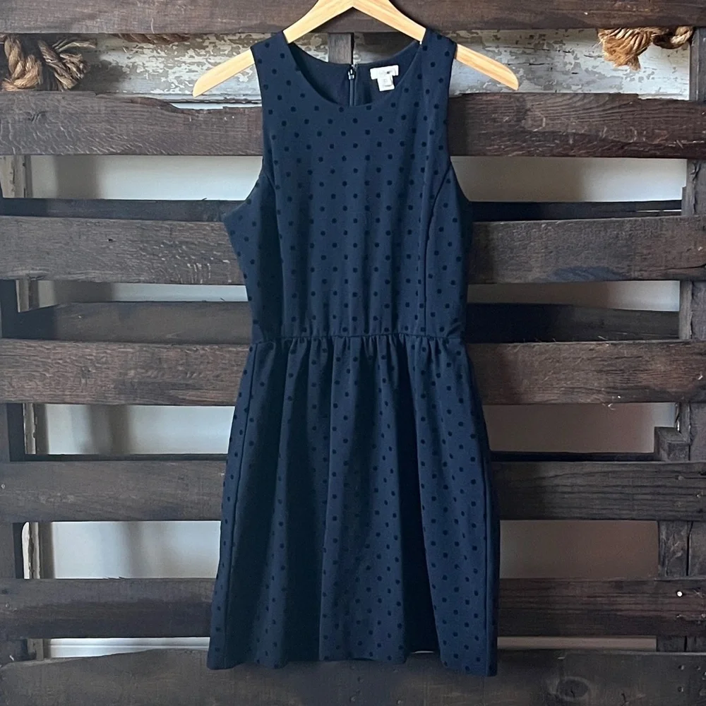 J. Crew back zip